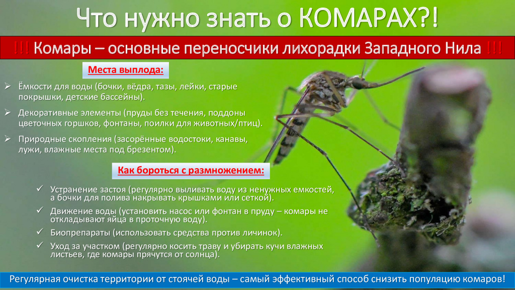 памятка.jpg памятка.jpg